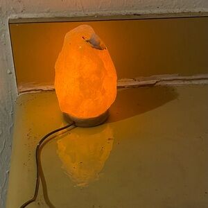 Himalayan Salt Lamp